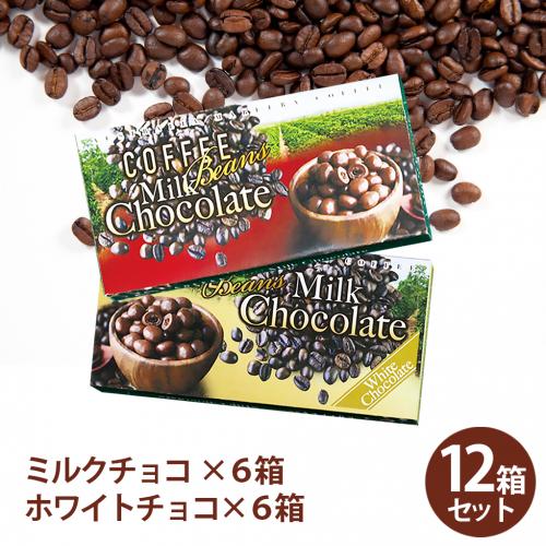 【H-1051】珈琲ビーンズチョコ(ミルク・ホワイト)各6箱